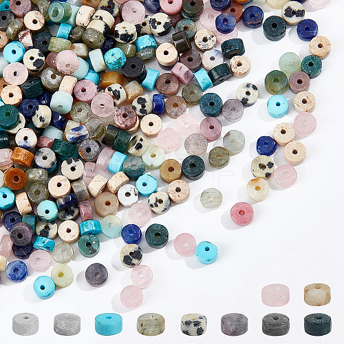  300pcs 10 Styles Natural Mixed Gemstone Beads G-NB0005-30-1