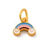 Alloy Enamel Charms ENAM-E362-12B-1