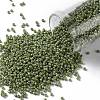 TOHO Round Seed Beads SEED-XTR15-2632F-1