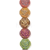 Painted Glass Beads Strands GLAA-F133-07C-1