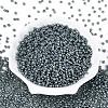 8/0 Glass Seed Beads X1-SEED-A011-3mm-156-2
