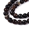 Natural Biotite Beads Strands G-Q616-01B-4
