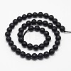 Natural Black Onyx Beads Strands G-D710-10mm-06-2