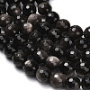 Natural Silver Obsidian Beads Strands G-C280-B08-8mm-4