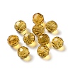 K9 Glass Imitation Austrian Crystal Beads GLAA-H024-17D-2