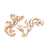 Alloy Pendants FIND-C094-05KCG-2