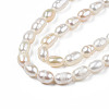 Natural Cultured Freshwater Pearl Beads Strands X-PEAR-N012-04B-4