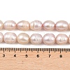 Natural Cultured Freshwater Pearl Beads Strands PEAR-F020-24B-5