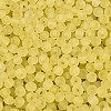 FGB Frosted Transparent Glass Seed Beads SEED-N013-04A-02-3