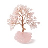Natural Rose Quartz Tree Display Decoration DJEW-G027-08RG-03-2