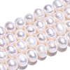 Natural Cultured Freshwater Pearl Beads Strands PEAR-N013-06V-3