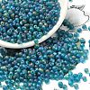 MIYUKI 3.4mm Drop Beads SEED-MY04-DP2405FR-2