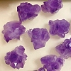 Natural Rough Raw Amethyst Display Decorations G-PW0007-157-2