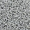 MIYUKI Delica Beads SEED-MY11-DB2281-2