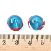Ocean Theme Handmade Glass Enamel Beads LAMP-D304-02B-4