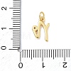 Brass Micro Pave Clear Cubic Zirconia Charms KK-D289-66G-N-3