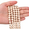 Natural Fossil Beads Strands LS-G-E110-8mm-2-4
