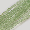 Glass Beads Strands GLAA-E408-15C-2