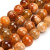 Natural Dragon Veins Agate Beads Strands GG-L001-L01-01F-2