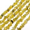 Natural Olive Jade Chip Bead Strands G-M205-30-3