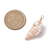 3Pcs Natural Shell Pendants PALLOY-JF03226-03-2