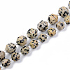 Natural Dalmatian Jasper Beads Strands G-R482-16-8mm-3