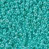 TOHO Round Seed Beads X-SEED-TR08-0920-2