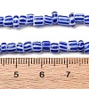 Handmade Lampwork Beads Strands BLOW-K001-01B-14-2