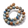 Dyed Natural Regalite/Imperial Jasper/Sea Sediment Jasper Beads Strands G-B124-C02-15-5