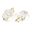 Transparent Resin Pendants RESI-E028-01G-09-3
