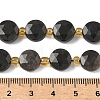 Natural Silver Sheen Obsidian Beads Strands G-G271-C08-10mm-5