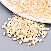 2-Hole Glass Seed Beads SEED-S031-M-SH1001F-1