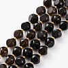 Natural Smoky Quartz Beads Strands G-A030-B23-10mm-A-1