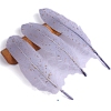 Feather Ornament Accessories PW-WGEAACD-09-1