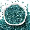 8/0 Round Glass Seed Beads SEED-J011-F8-178-3