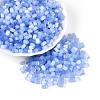Drawbench Style Glass Seed Beads SEED-N008-10I-1