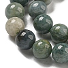 Natural Myanmar Jadeite Beads Strands G-B099-C06-02-4