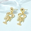 Brass Dangle Earrings EJEW-D352-06G-07-2