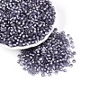 Silver Lined Glass Seed Beads SEED-T007-18A-08-1
