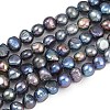 Natural Pearl Beads Strands PEAR-P064-20A-03B-2