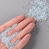 11/0 Grade A Transparent Glass Seed Beads X-SEED-N001-D-217-4
