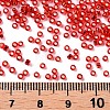 11/0 Grade A Transparent Glass Seed Beads X-SEED-Q007-F37-3