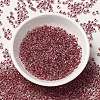 12/0 Transparent Glass Seed Beads X-SEED-F003-03C-03-2