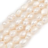 Natural Cultured Freshwater Pearl Beads Strands PEAR-P064-20I-01A-2