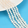 Natural Cultured Freshwater Pearl Beads Strands PEAR-P064-19D-13A-1