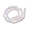 Natural Cultured Freshwater Pearl Beads Strands X-PEAR-N014-03F-3