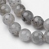 Natural Labradorite Beads Strands G-D809-07-6mm-3