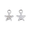 304 Stainless Steel Charms STAS-N095-143-2