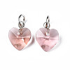 Faceted Transparent Glass Charms GLAA-T024-04J-2