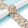 Shell Pearl Bead Strands LS-BSHE-L017-17-2